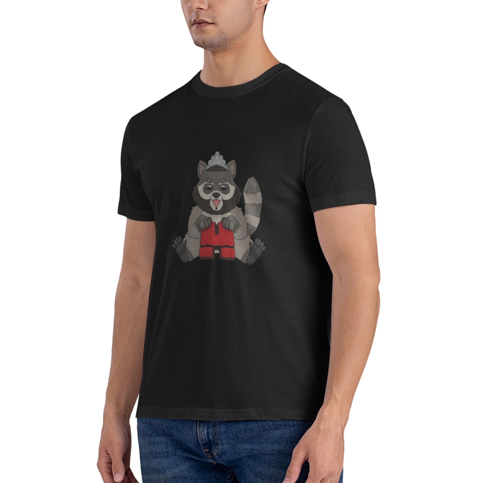 Funny Raccoon Tony from Hack t - Mens Fashion Hacks recension och pris